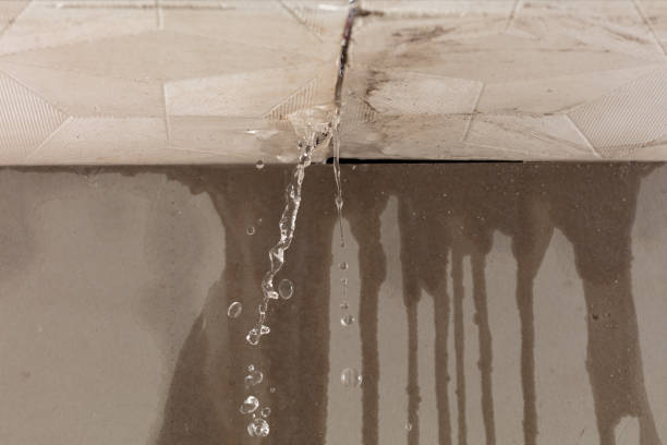 Professional Water Damage Repair technician working in Montrose, MI